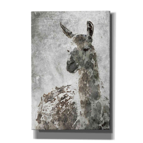 Image of 'Llama' by Irena Orlov, Canvas Wall Art