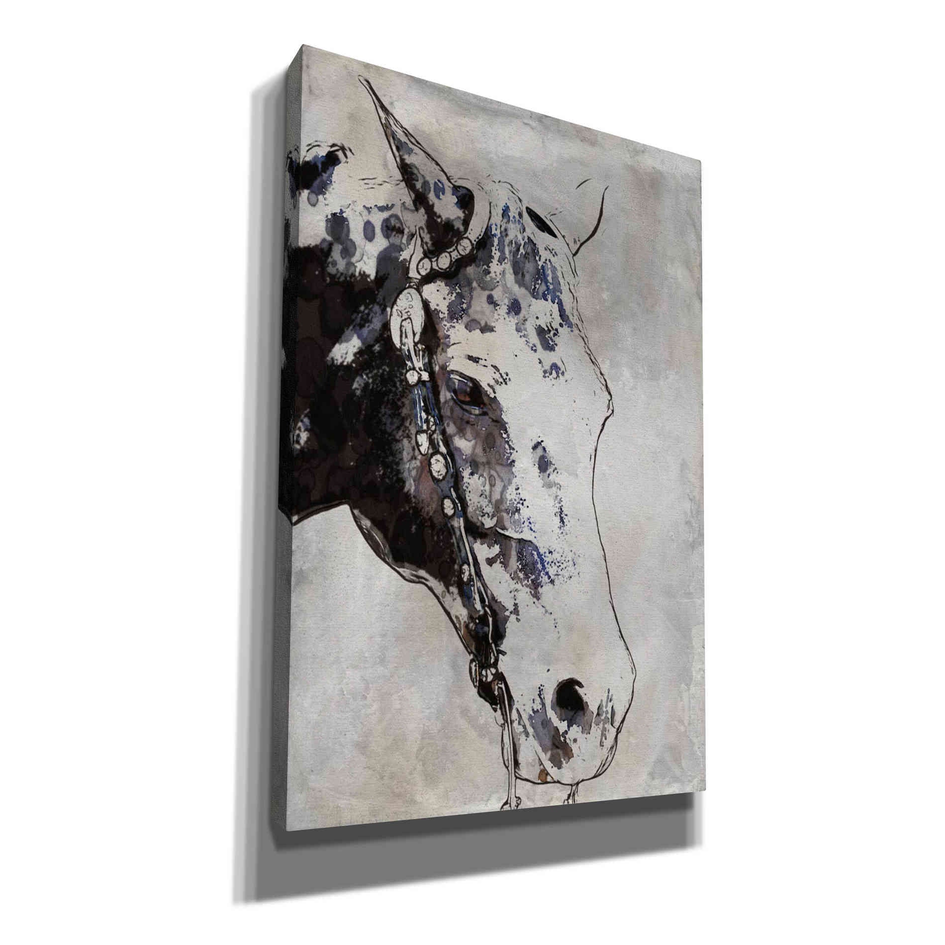 'Morgan Horse-Black Beauty' by Irena Orlov, Canvas Wall Art