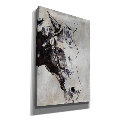 Image of 'Morgan Horse-Black Beauty' by Irena Orlov, Canvas Wall Art