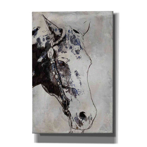 Image of 'Morgan Horse-Black Beauty' by Irena Orlov, Canvas Wall Art