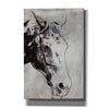 'Morgan Horse-Black Beauty' by Irena Orlov, Canvas Wall Art