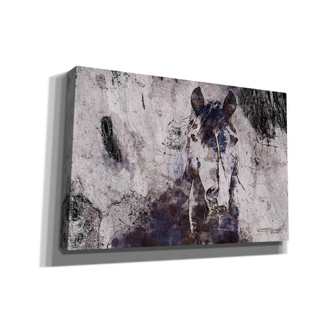Image of 'Mustang Horse 22' by Irena Orlov, Canvas Wall Art