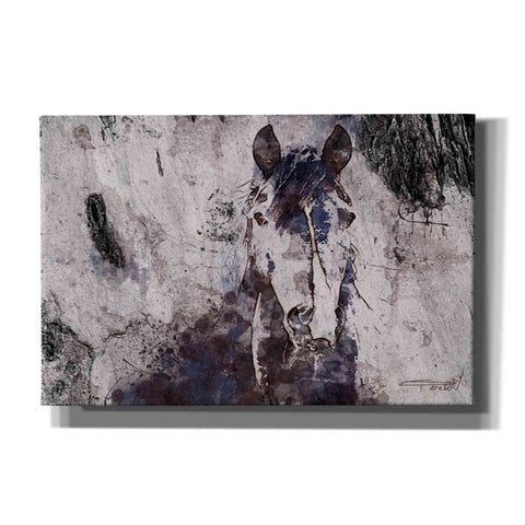 Image of 'Mustang Horse 22' by Irena Orlov, Canvas Wall Art