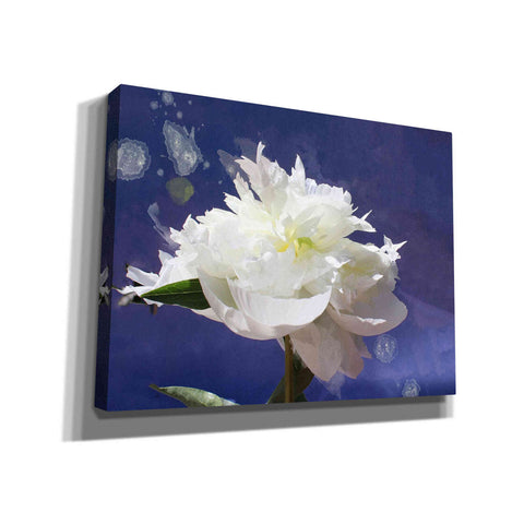 Image of 'White Peony-Scents of Heaven' by Irena Orlov, Canvas Wall Art
