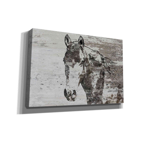Image of 'Portrait of a Horse' by Irena Orlov, Canvas Wall Art