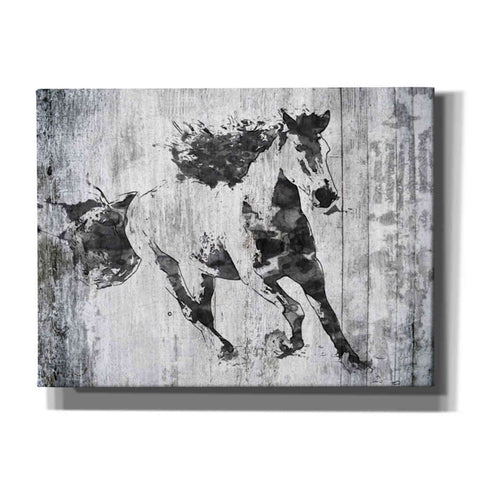 Image of 'Running Black Horse 1' by Irena Orlov, Canvas Wall Art