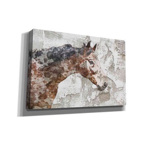 Image of 'Rustic Brown Horse' by Irena Orlov, Canvas Wall Art