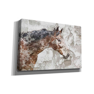 'Rustic Brown Horse' by Irena Orlov, Canvas Wall Art