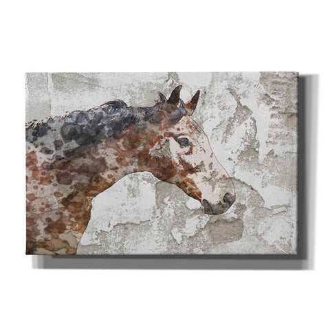 Image of 'Rustic Brown Horse' by Irena Orlov, Canvas Wall Art