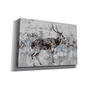 'Sika Deer 1' by Irena Orlov, Canvas Wall Art