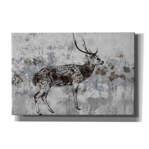 'Sika Deer 1' by Irena Orlov, Canvas Wall Art