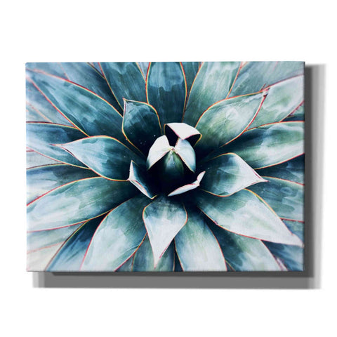 Image of 'Tropical Star' by Irena Orlov, Canvas Wall Art