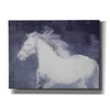 'White Running Horse In The Fog Mist 1' by Irena Orlov, Canvas Wall Art