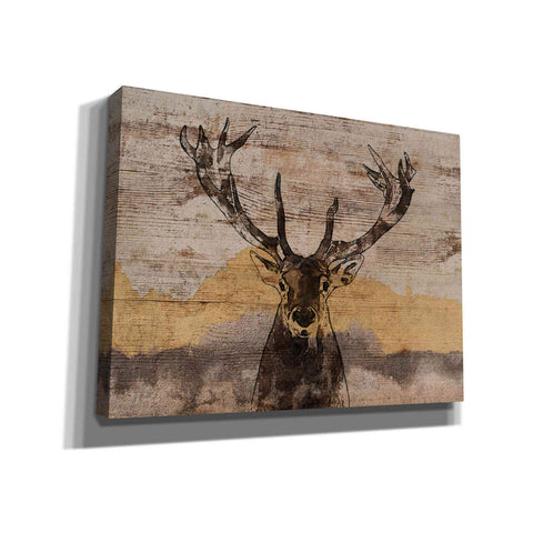 Image of 'White-Tailed Deer' by Irena Orlov, Canvas Wall Art