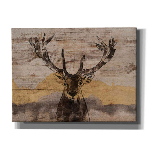 Image of 'White-Tailed Deer' by Irena Orlov, Canvas Wall Art