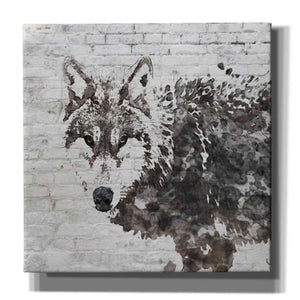 'Lone Wolf' by Irena Orlov, Canvas Wall Art