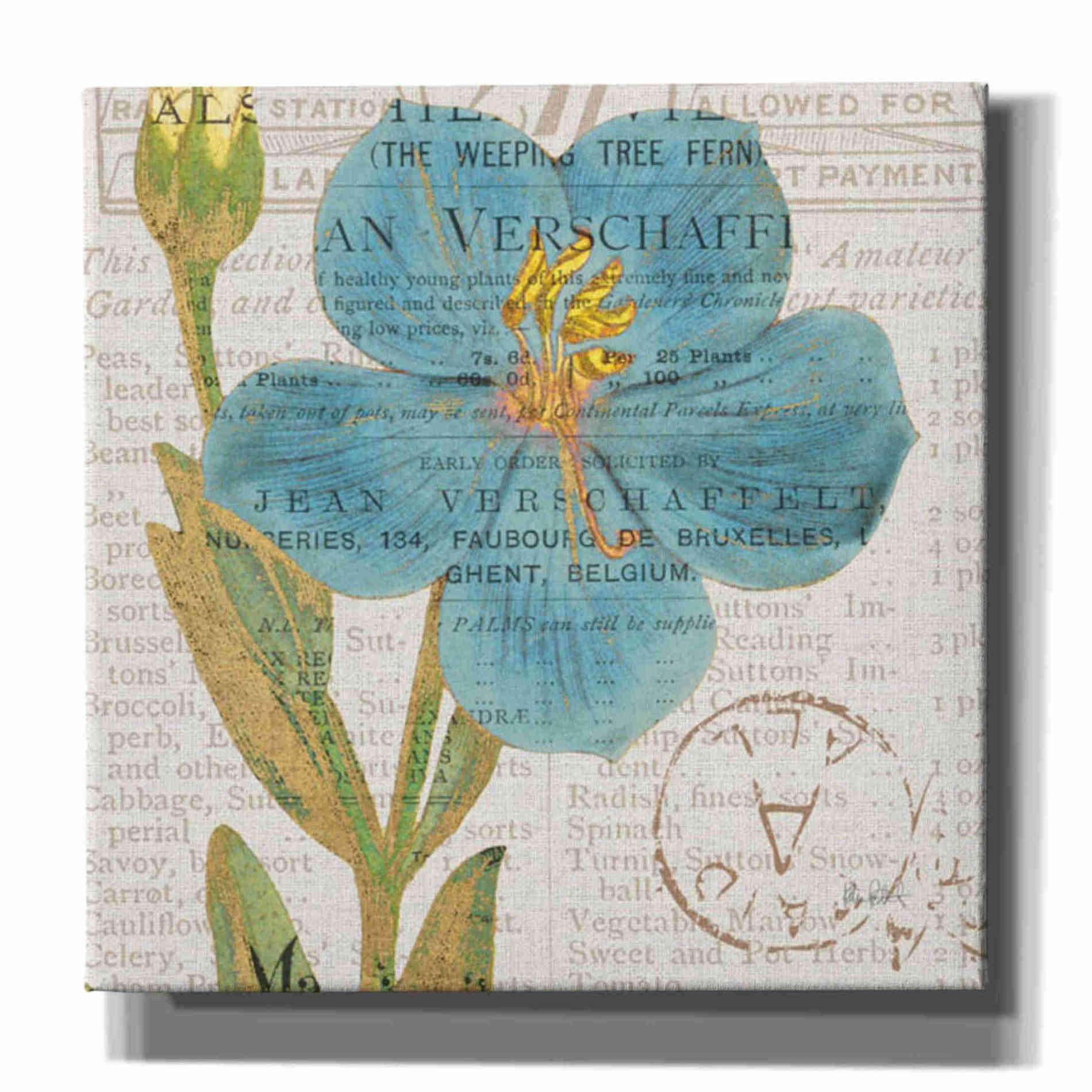 'Bookshelf Botanical VI' by Katie Pertiet, Canvas Wall Art