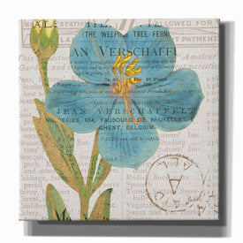 'Bookshelf Botanical VI' by Katie Pertiet, Canvas Wall Art