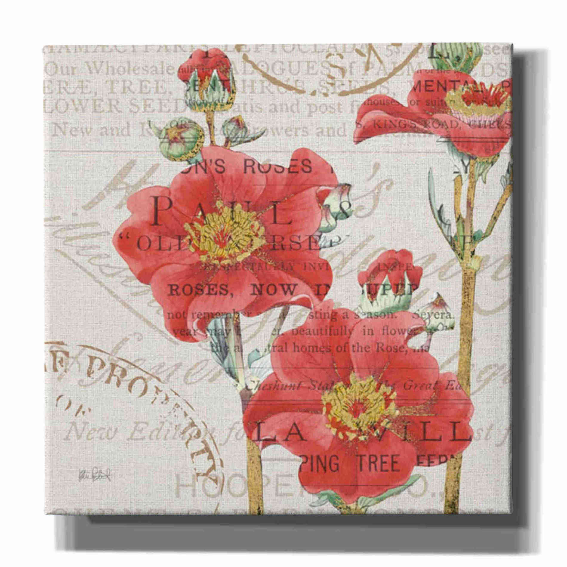 'Bookshelf Botanical V' by Katie Pertiet, Canvas Wall Art