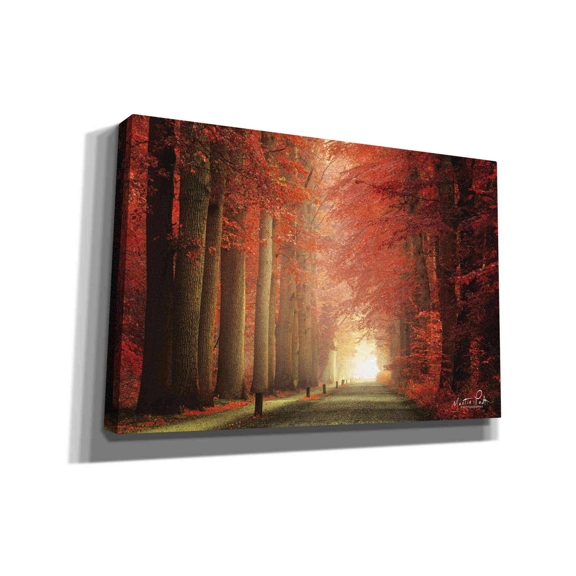 'Way to Red' by Martin Podt, Canvas Wall Art,Size A Landscape