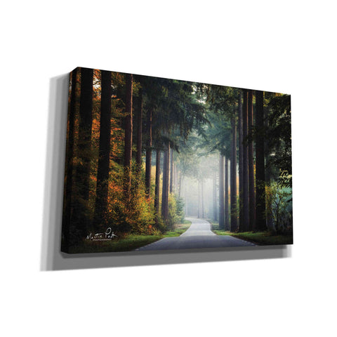 Image of 'Mysterious Roads' by Martin Podt, Canvas Wall Art,Size A Landscape