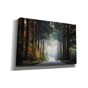 'Mysterious Roads' by Martin Podt, Canvas Wall Art,Size A Landscape