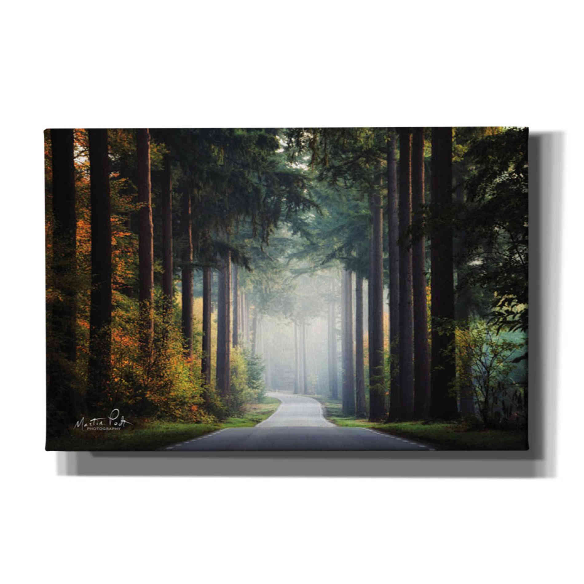 'Mysterious Roads' by Martin Podt, Canvas Wall Art,Size A Landscape