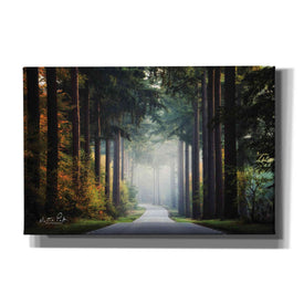 'Mysterious Roads' by Martin Podt, Canvas Wall Art,Size A Landscape