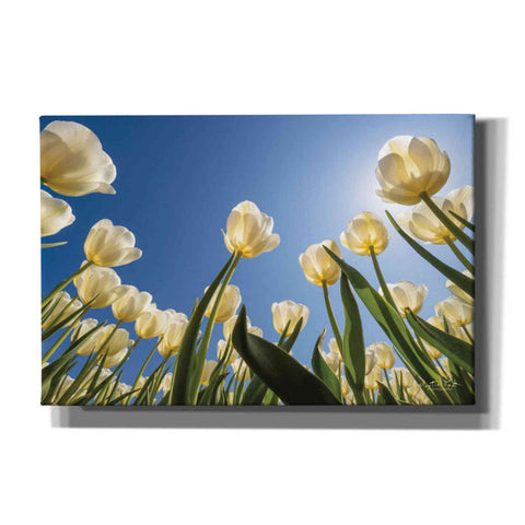 Image of 'Look Up in White' by Martin Podt, Canvas Wall Art,Size A Landscape