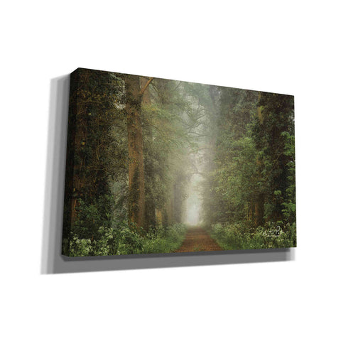 Image of 'Misty Spring Road' by Martin Podt, Canvas Wall Art,Size A Landscape