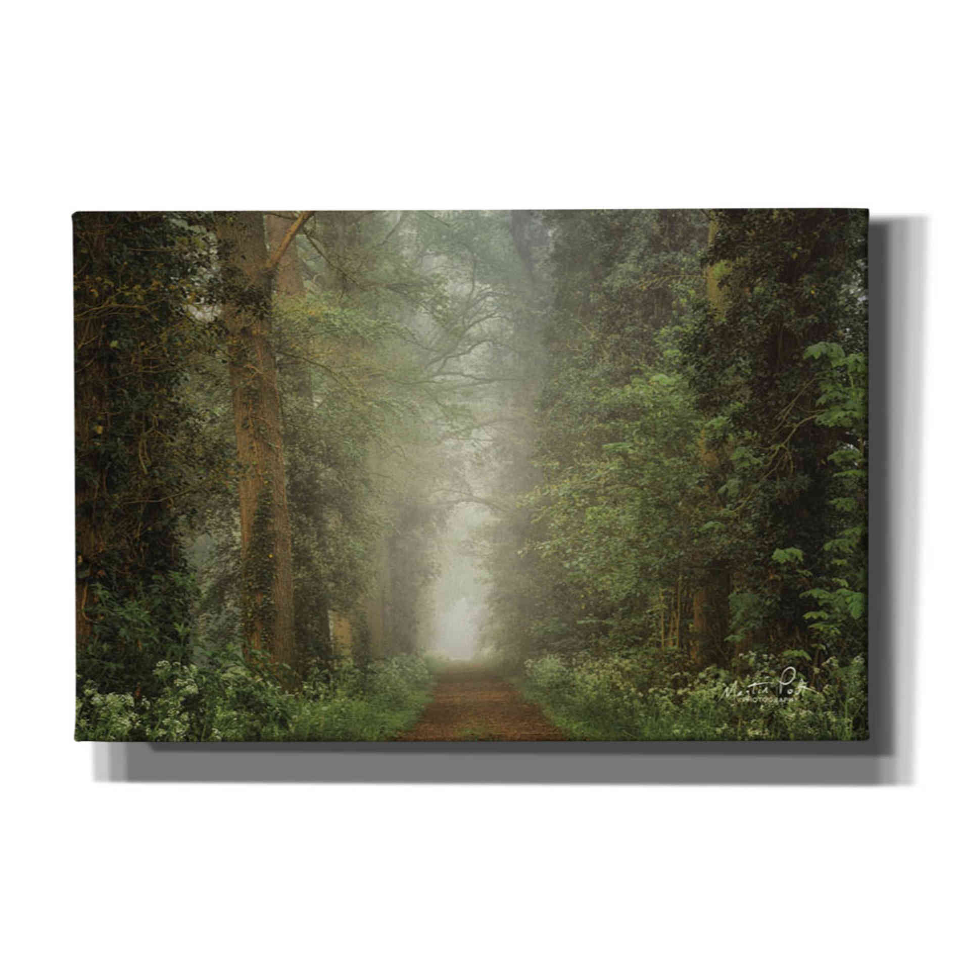 'Misty Spring Road' by Martin Podt, Canvas Wall Art,Size A Landscape