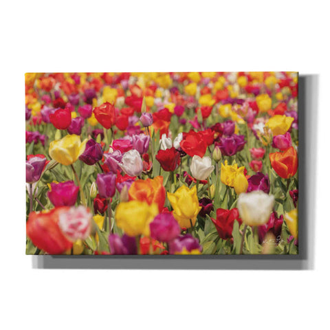 Image of 'Colorful Bouquet' by Martin Podt, Canvas Wall Art,Size A Landscape
