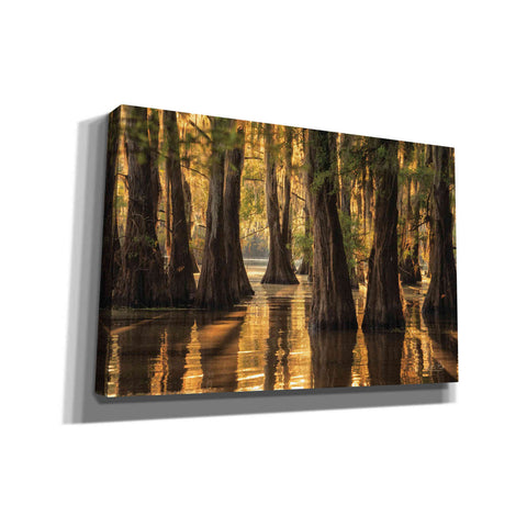Image of 'Natural Beauty' by Martin Podt, Canvas Wall Art,Size A Landscape