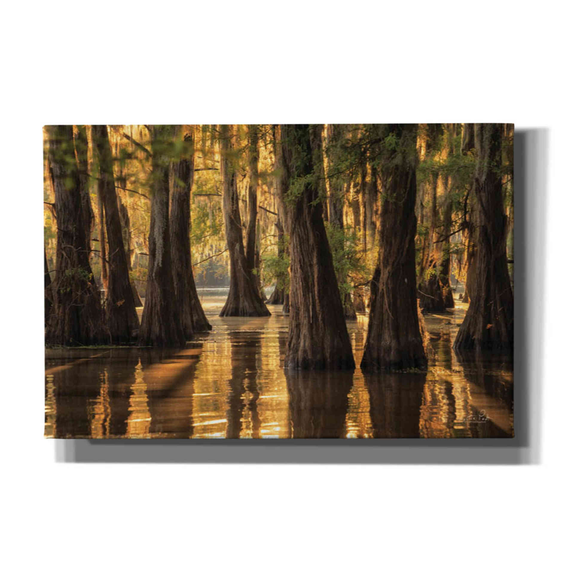 'Natural Beauty' by Martin Podt, Canvas Wall Art,Size A Landscape