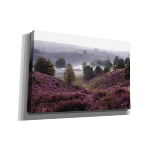 Image of 'Oh Yeah' by Martin Podt, Canvas Wall Art,Size A Landscape