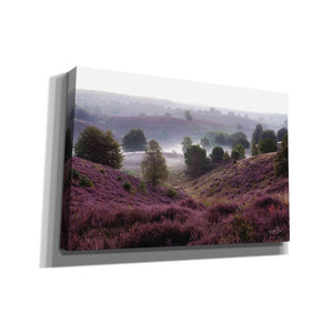 'Oh Yeah' by Martin Podt, Canvas Wall Art,Size A Landscape