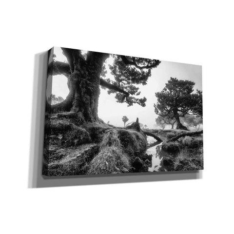 Image of 'Black & White Fanal' by Martin Podt, Canvas Wall Art,Size A Landscape