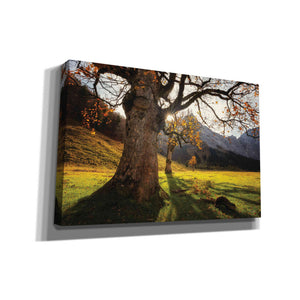 'The Star' by Martin Podt, Canvas Wall Art,Size A Landscape