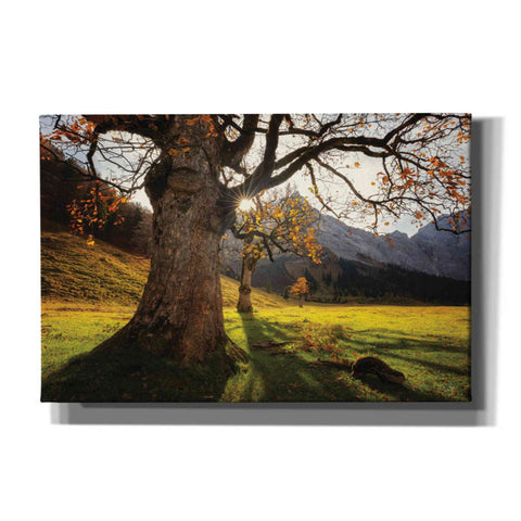 Image of 'The Star' by Martin Podt, Canvas Wall Art,Size A Landscape