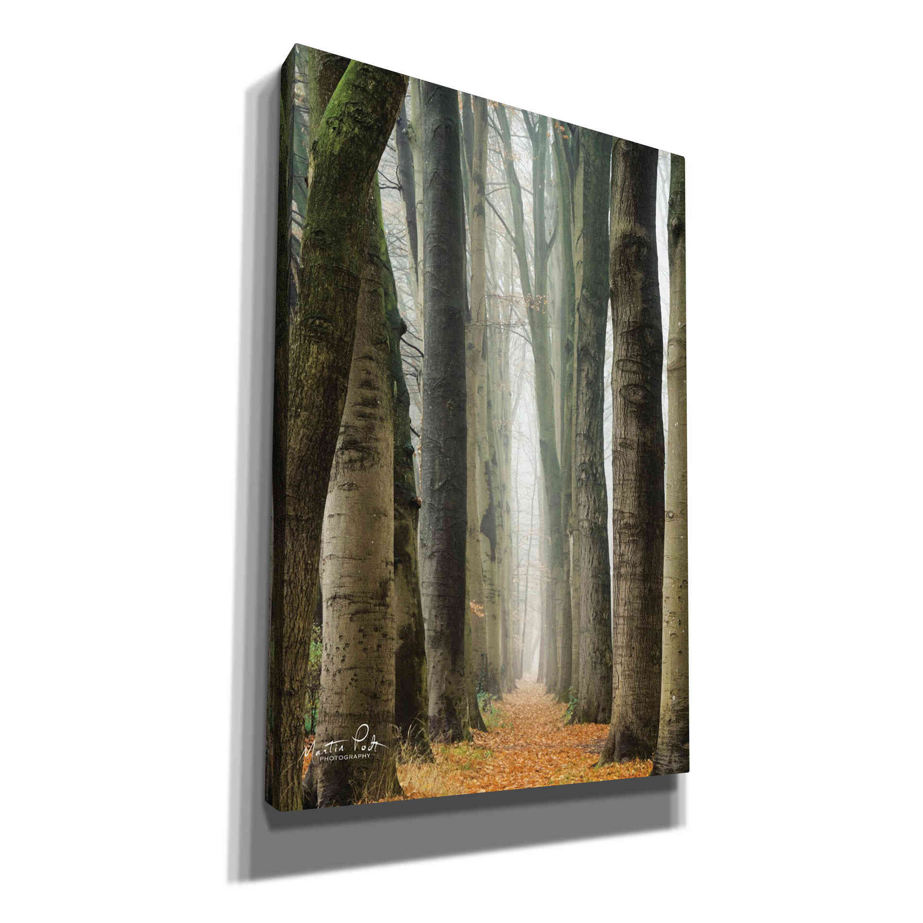 'Narrow Alley in the Netherlands' by Martin Podt, Canvas Wall Art,Size A Portrait