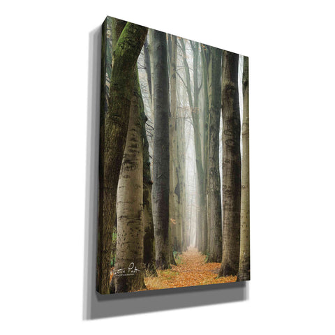 Image of 'Narrow Alley in the Netherlands' by Martin Podt, Canvas Wall Art,Size A Portrait
