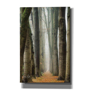 'Narrow Alley in the Netherlands' by Martin Podt, Canvas Wall Art,Size A Portrait