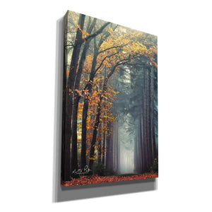'To Another World' by Martin Podt, Canvas Wall Art,Size A Portrait