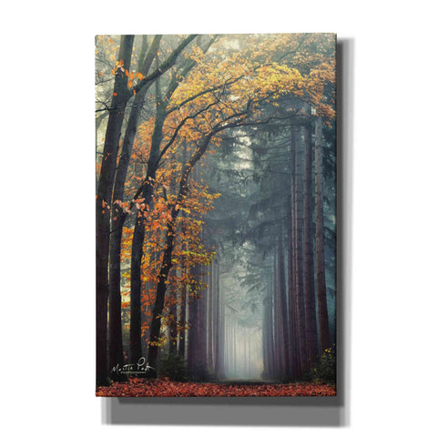 Image of 'To Another World' by Martin Podt, Canvas Wall Art,Size A Portrait