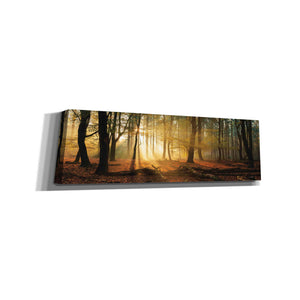 'Speulderbos Panorama' by Martin Podt, Canvas Wall Art,Size 3 Landscape