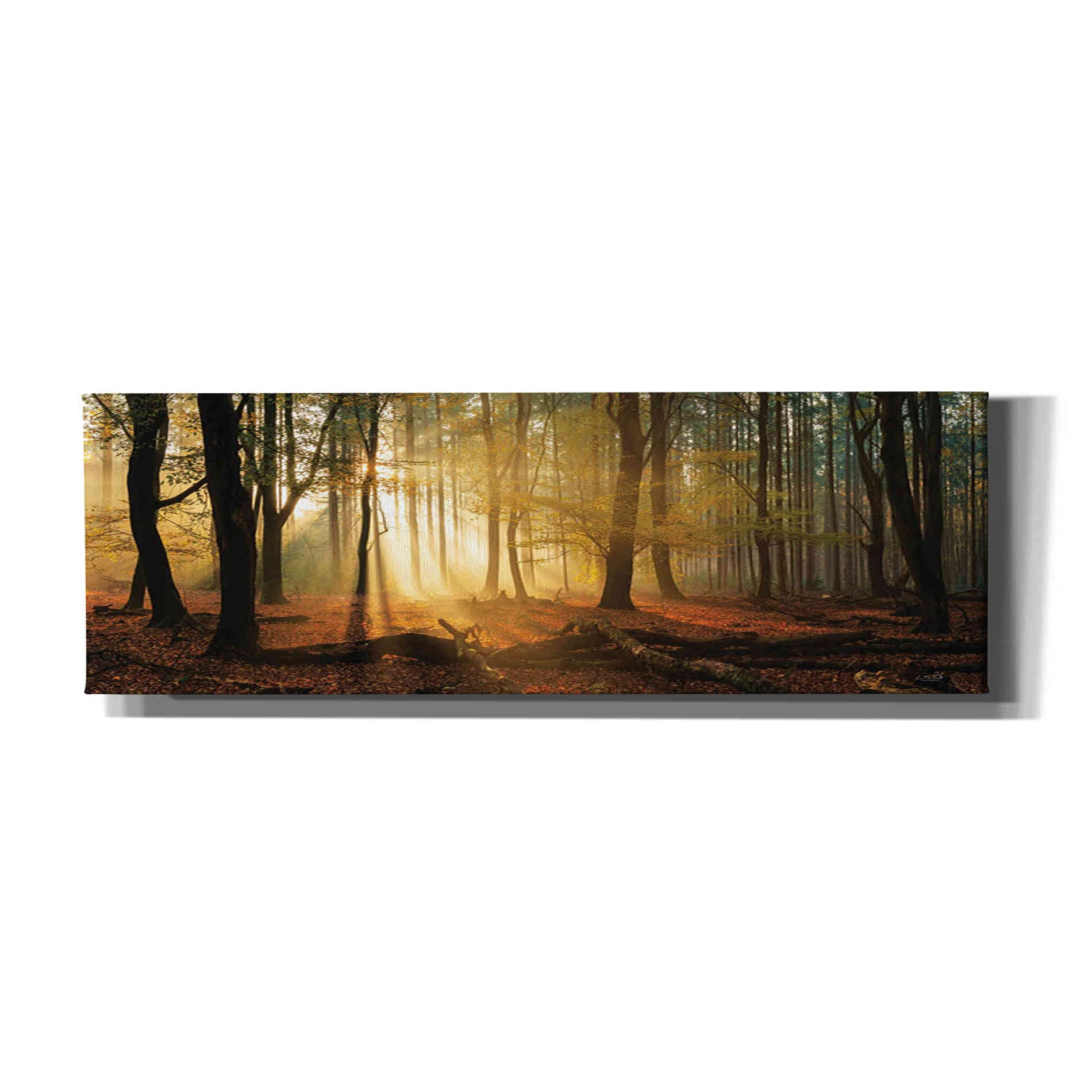 'Speulderbos Panorama' by Martin Podt, Canvas Wall Art,Size 3 Landscape