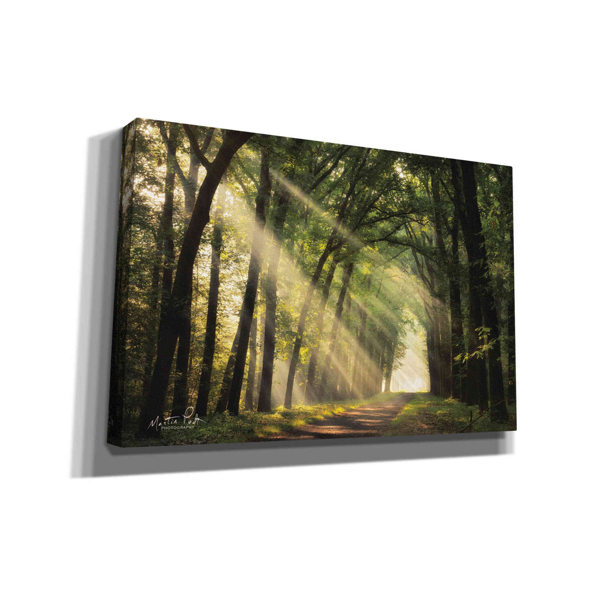 'The Light of Lochem' by Martin Podt, Canvas Wall Art,Size A Landscape