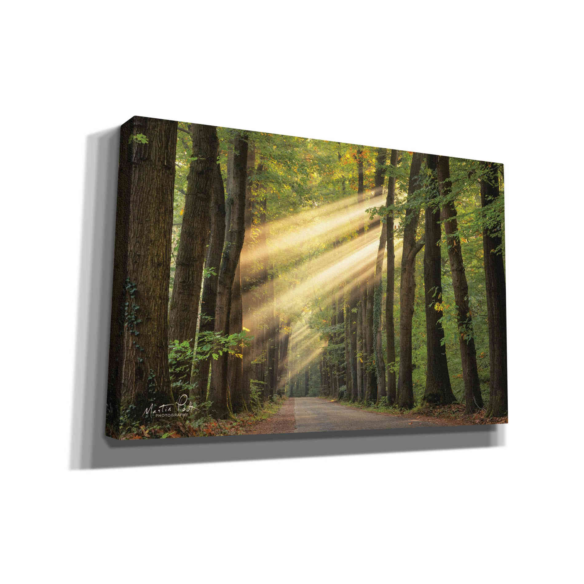 'Rayzor Light' by Martin Podt, Canvas Wall Art,Size A Landscape