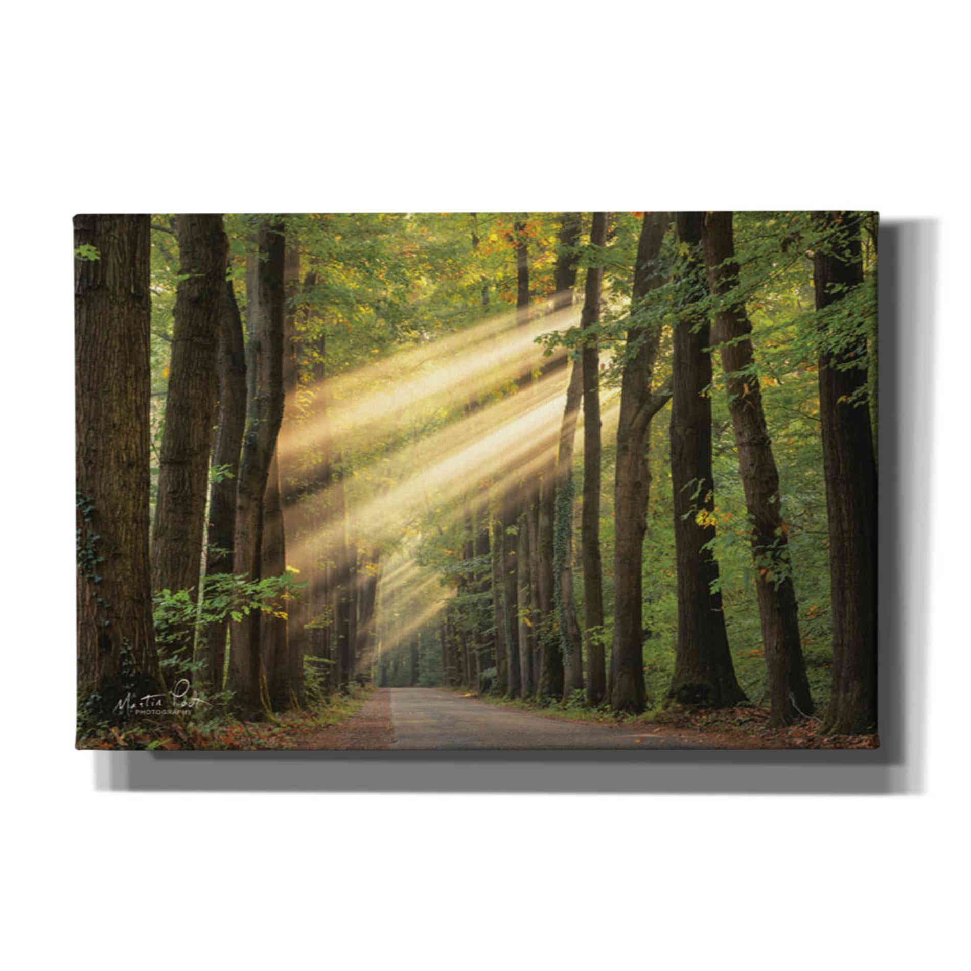'Rayzor Light' by Martin Podt, Canvas Wall Art,Size A Landscape