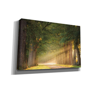 'Perfect Place to Sit' by Martin Podt, Canvas Wall Art,Size A Landscape